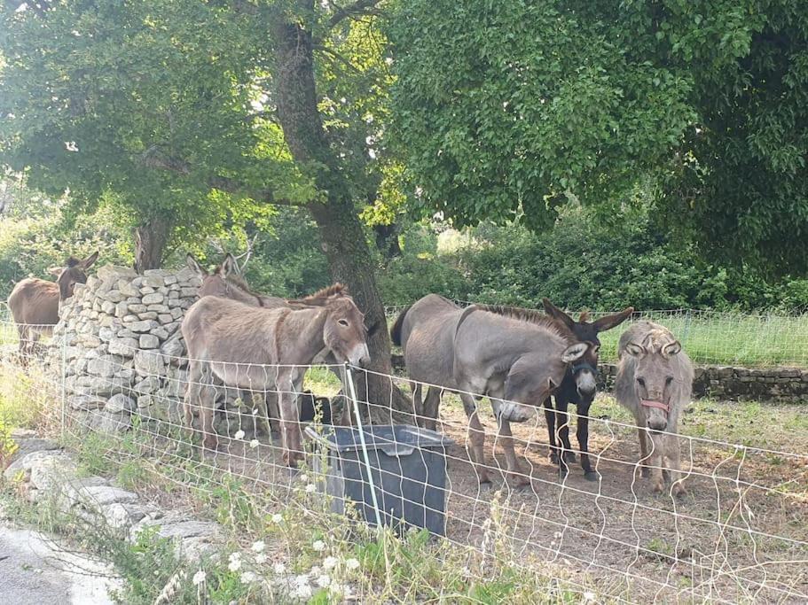 La Castellane, Vue Imprenable Sur Le Luberon Saignon